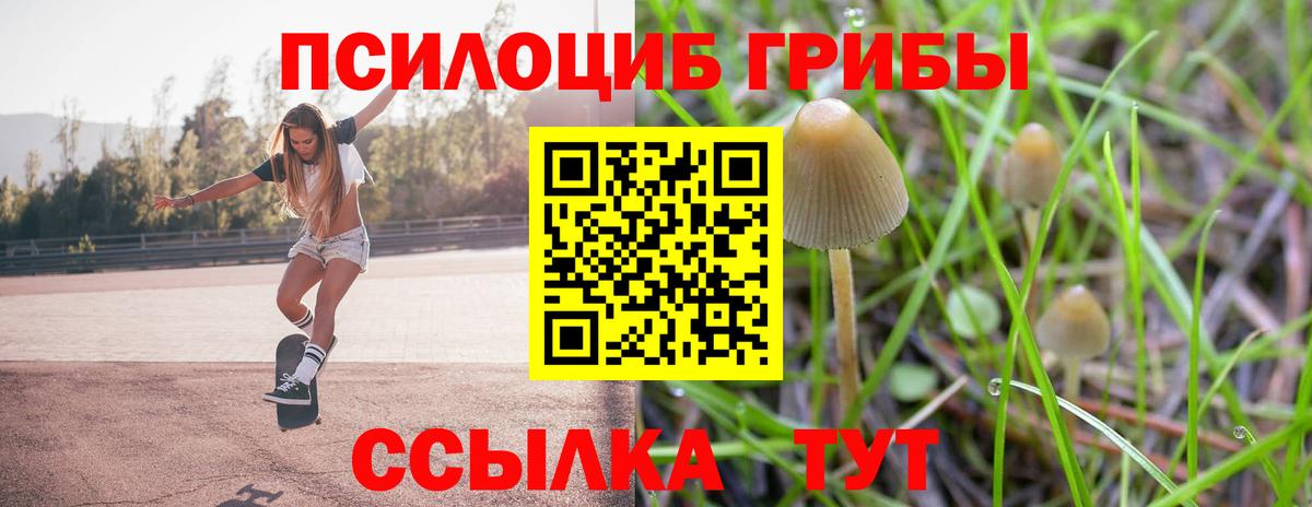 Галлюциногенные грибы мухоморы  Псилоцибиновые грибы прущие грибы  Вход с VPN  Свободный 